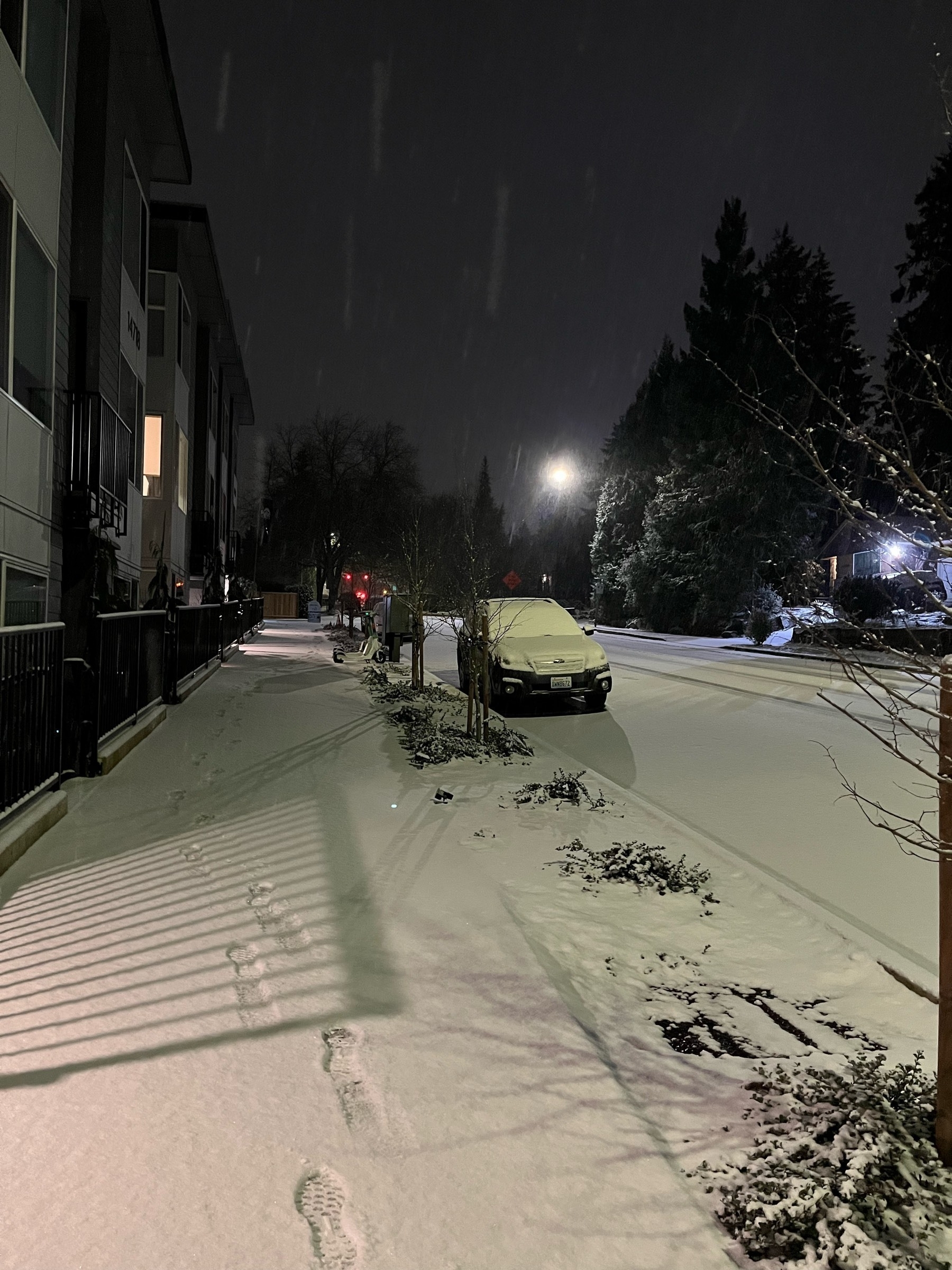 Snow covered sidewalks and street with snow covered cars parked.  