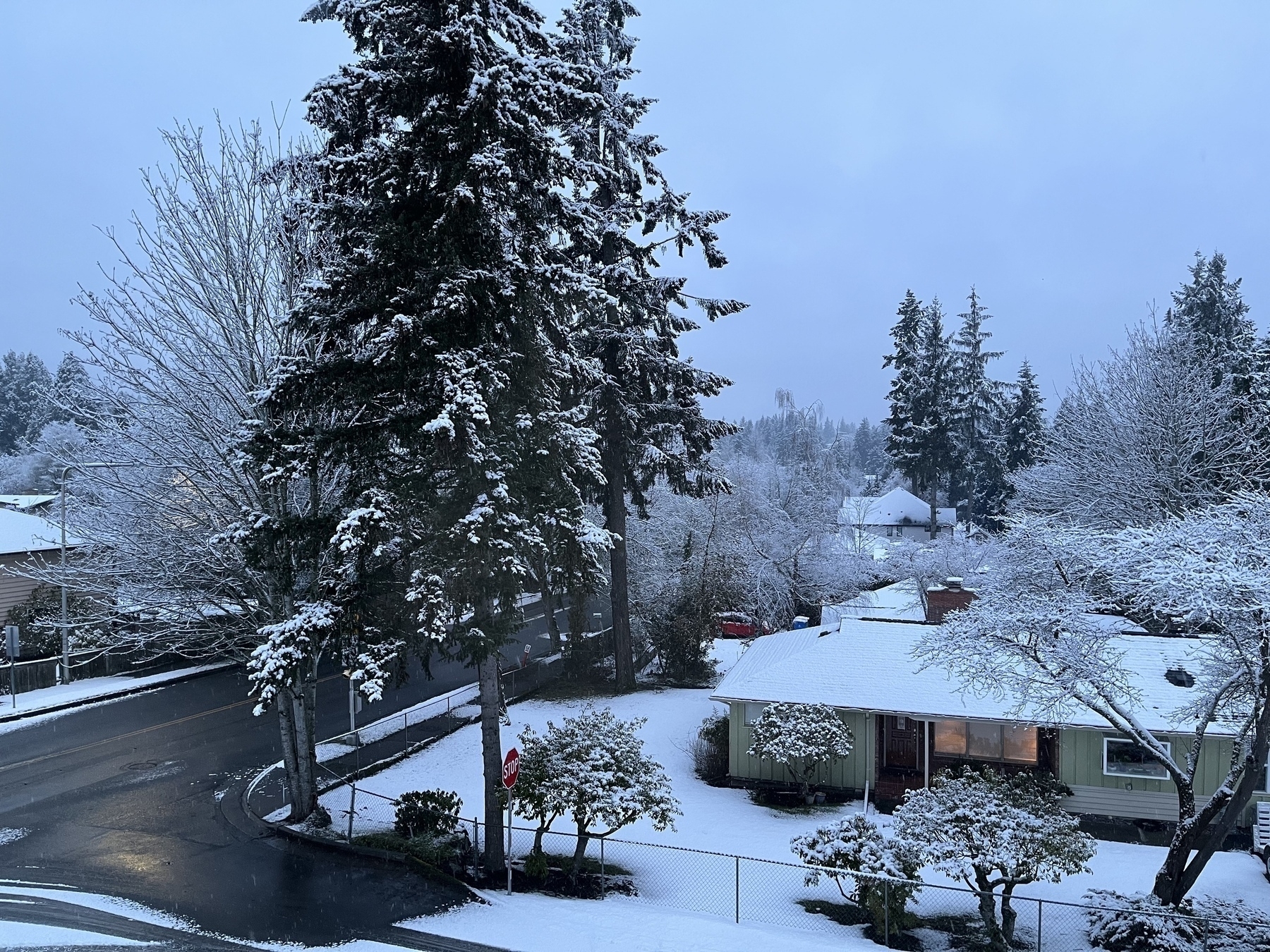 Looking out across a street with snow covered trees and houses. 